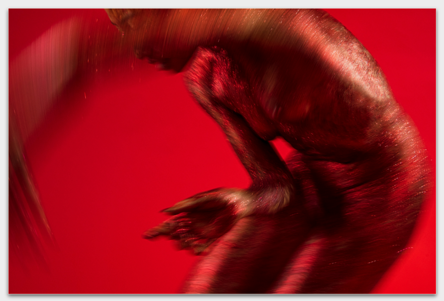 DANCE:ON SCARLET (I)