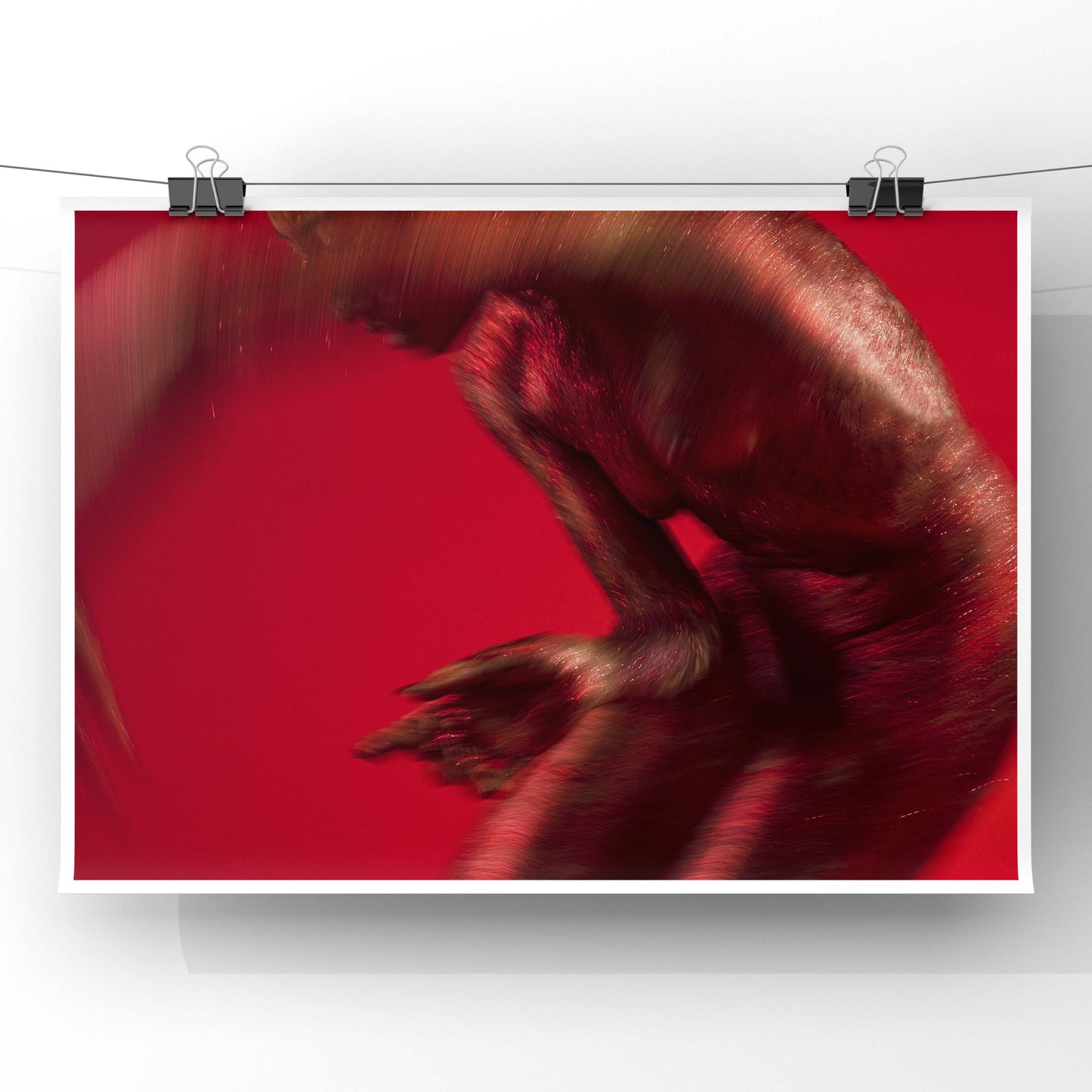 DANCE:ON SCARLET (I)