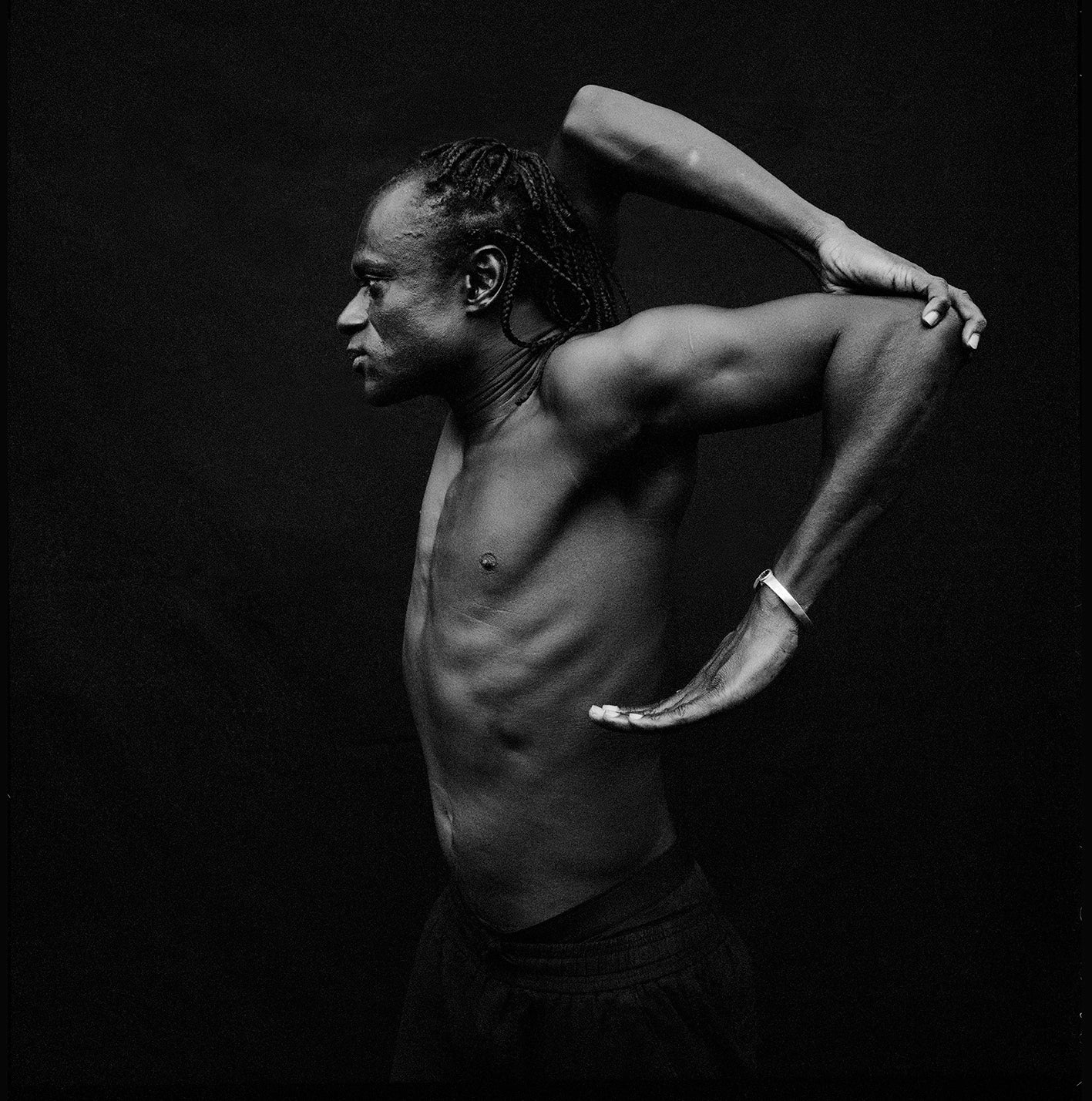 WE ARE WHO WE MOVE - Tamsier (I)