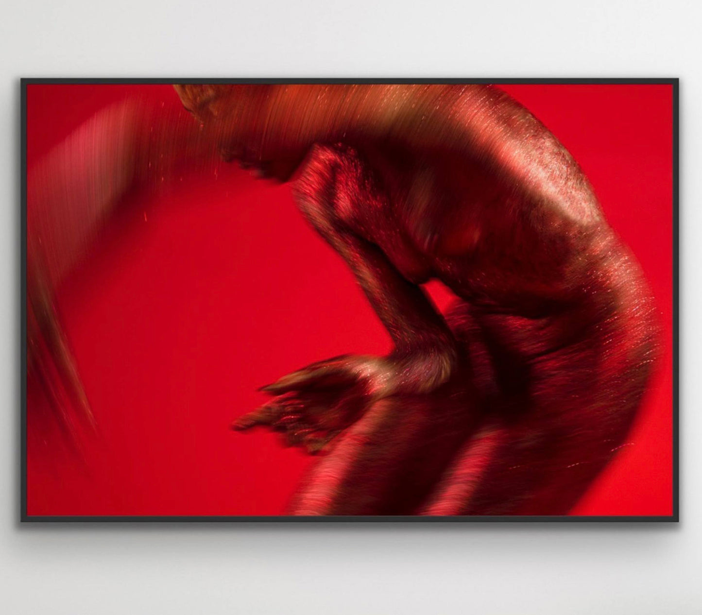 DANCE:ON SCARLET (I)