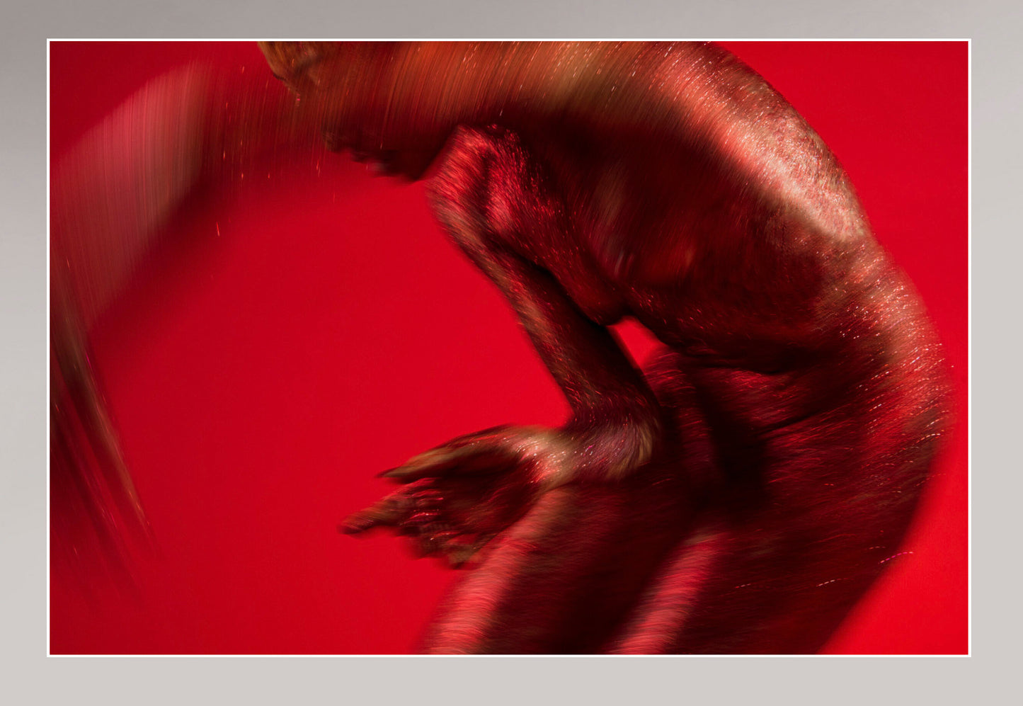 DANCE:ON SCARLET (I)
