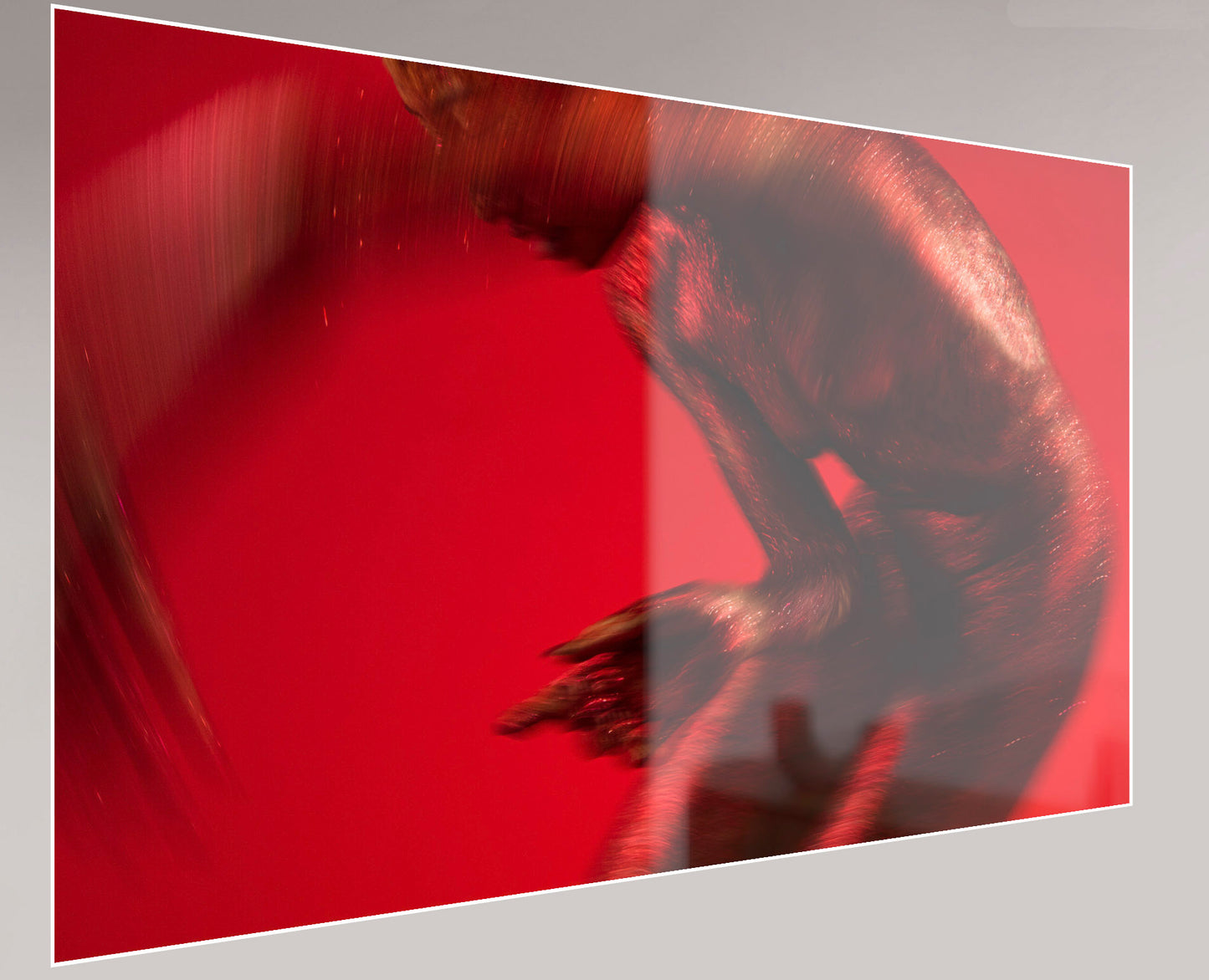 DANCE:ON SCARLET (I)