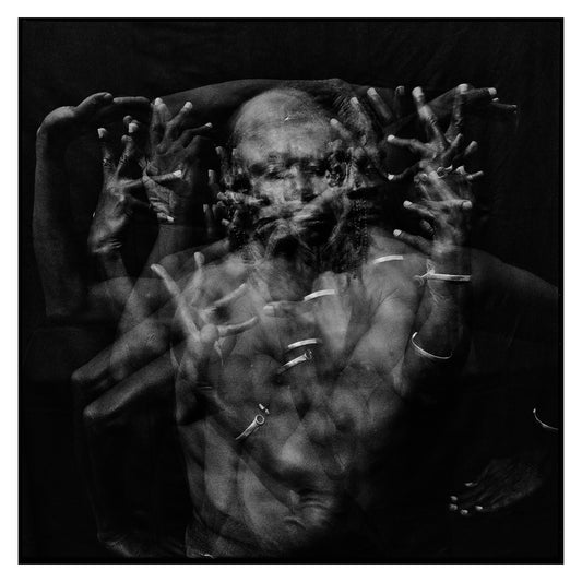 WE ARE WHO WE MOVE - Tamsier (II)