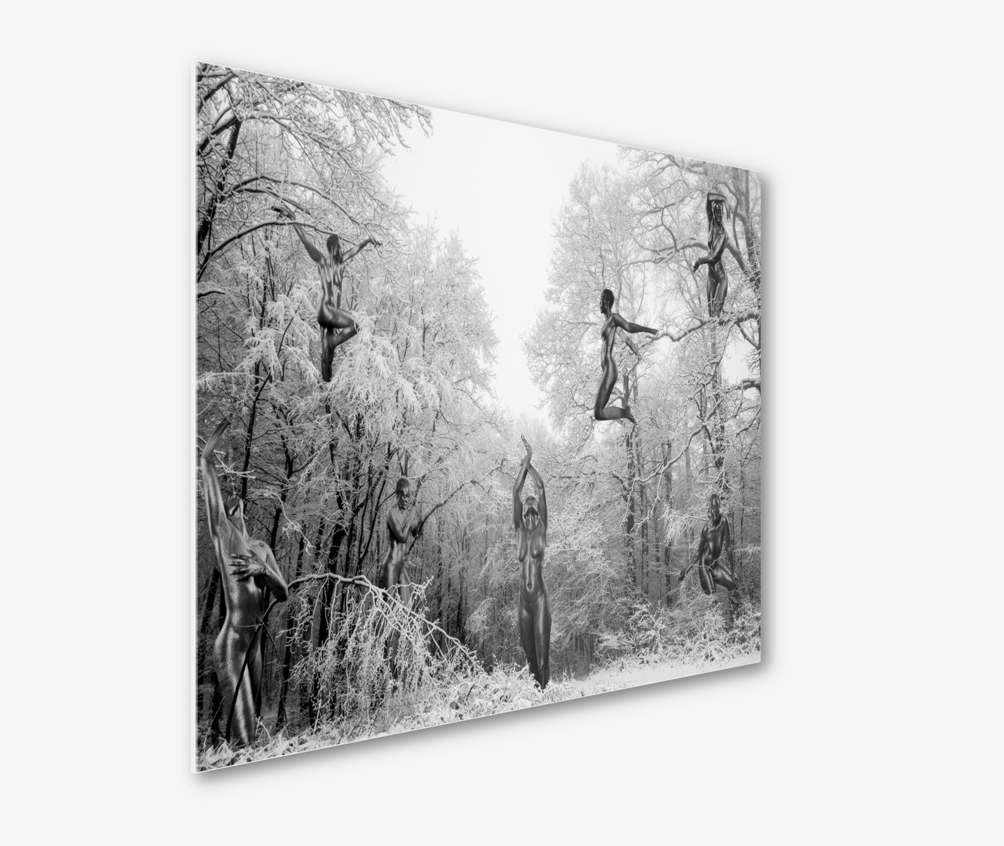 7EVEN ELVES - GLORY (limited edition of 7)