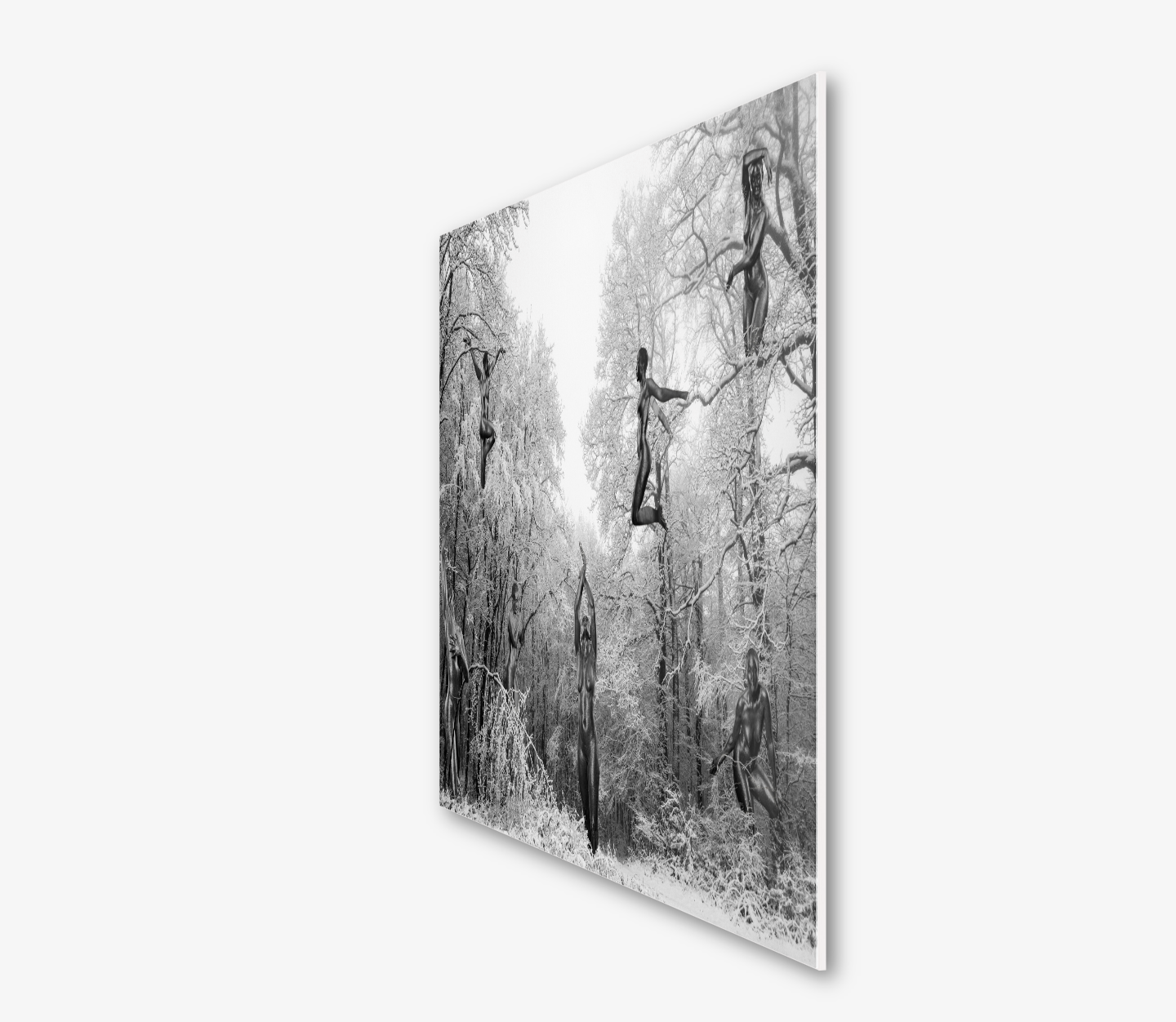 7EVEN ELVES - GLORY (limited edition of 7)