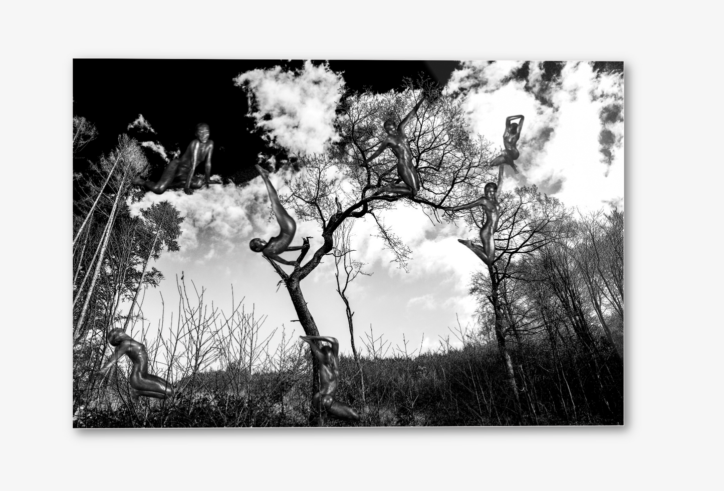 7EVEN ELVES - PLAY WITH ME (limited edition of 7)