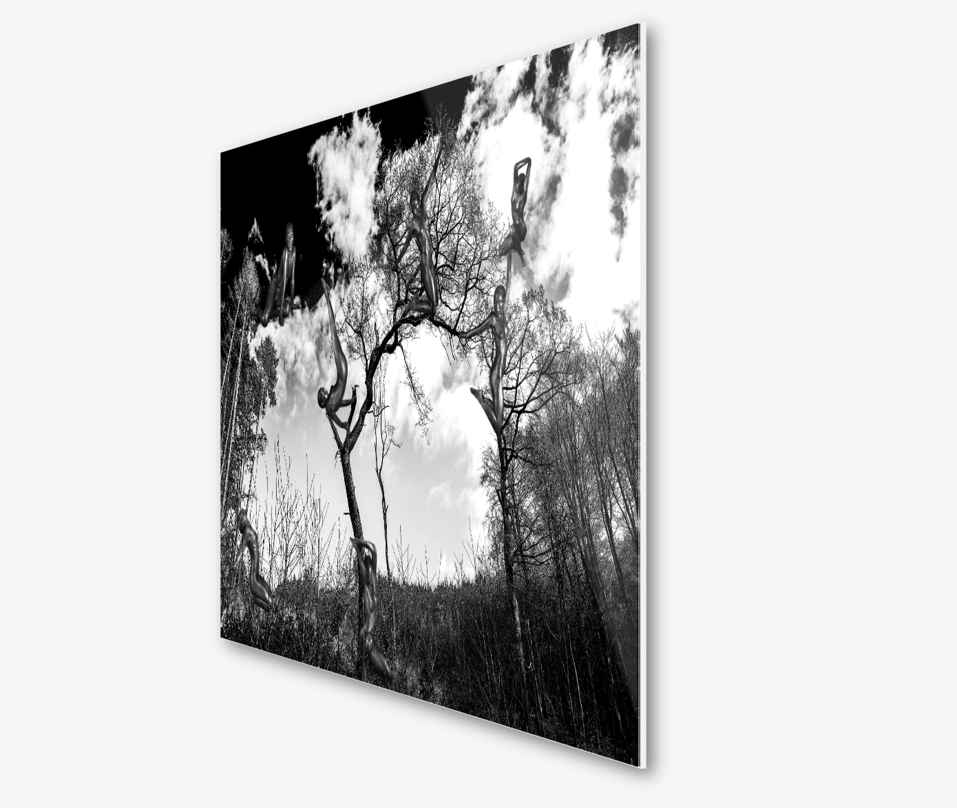 7EVEN ELVES - PLAY WITH ME (limited edition of 7)