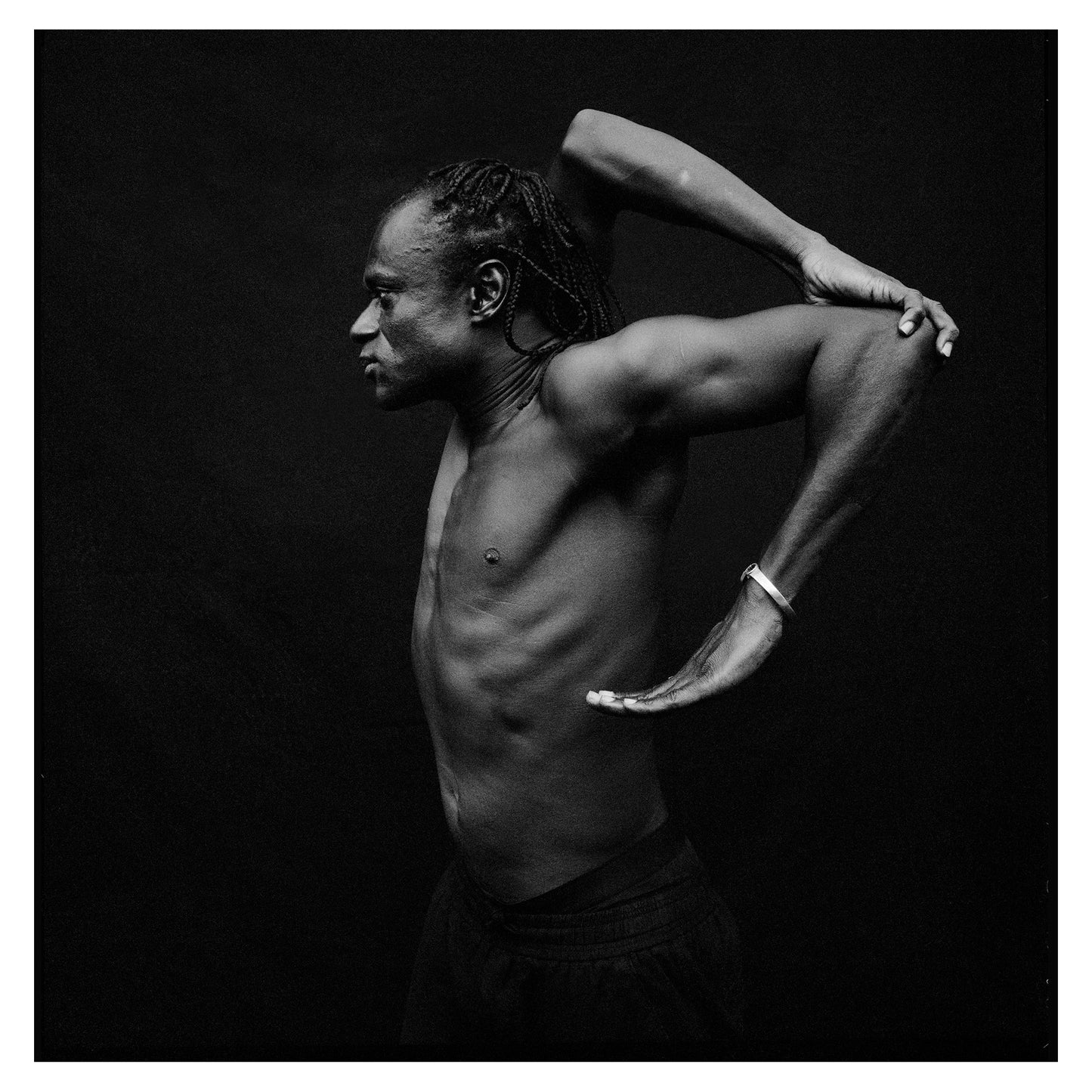 WE ARE WHO WE MOVE - Tamsier (I)